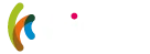 Wisoft Logo